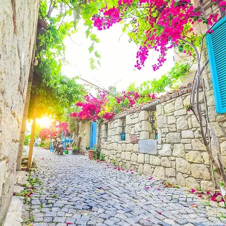 Asmali 3* アラカティ