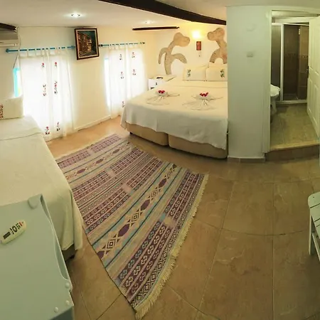 Hotel Asmali
