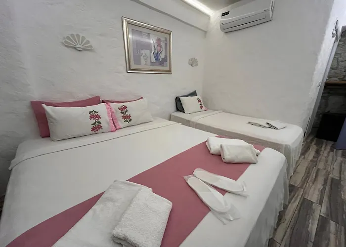 Asmali Otel 3*